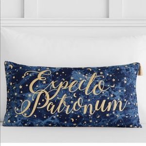 Pottery Barn Teen Harry Potter Cover and Insert. Gently used, no tears or stains